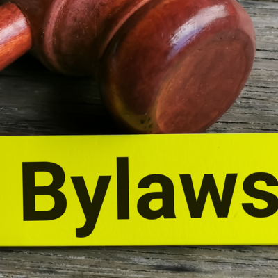 Image showing the word ByLaws