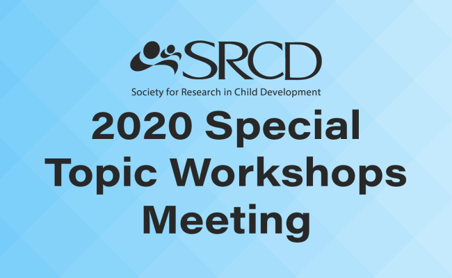 2020 Special Topic Workshops Meeting logo